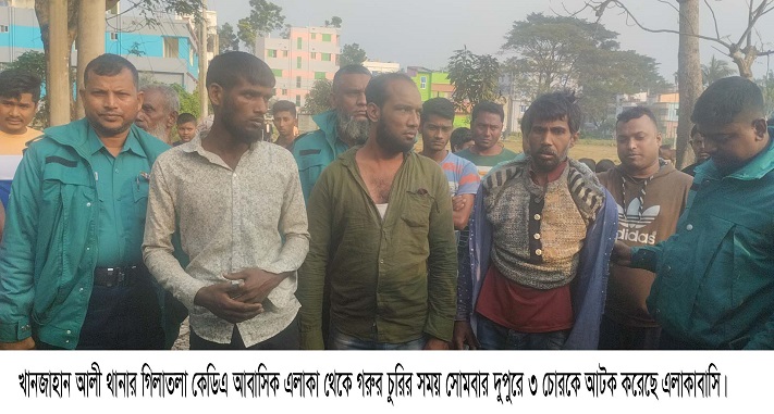 গিলাতলায় দিনে দুপরে গরু চুরির সময় হাতেনাতে ৩ চোর আটক